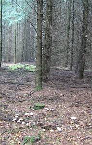 heksenkring 