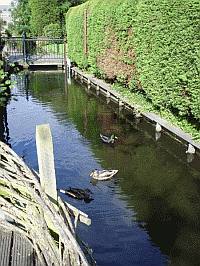 buren rechts